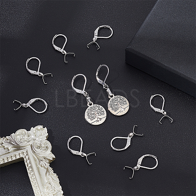 50Pcs 304 Stainless Steel Leverback Earring Findings STAS-UN0041-89-1