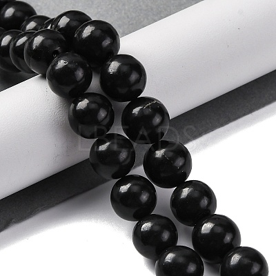Natural Shungite Beads Strands G-M353-A04-12mm-1
