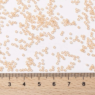 MIYUKI Round Rocailles Beads X-SEED-G009-RR0369-1