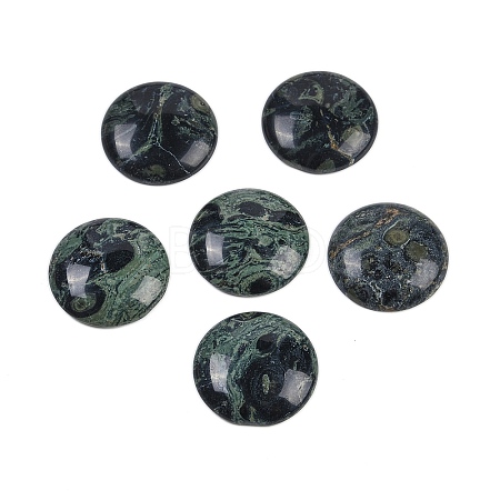 Natural Kambaba Jasper Cabochons G-H1596-FR-25mm-06-1
