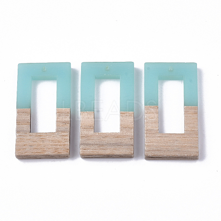 Resin & Walnut Wood Pendants LS-RESI-S358-26A-1