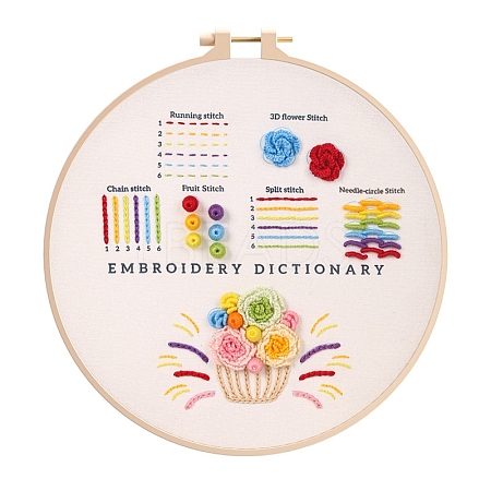 DIY Embroidery Kit DIY-P077-162-1