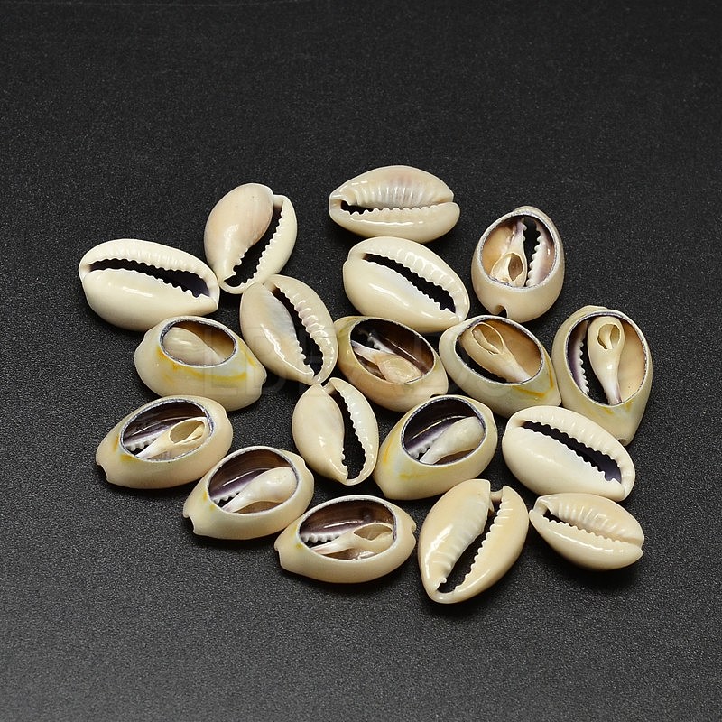 Cowrie Shell Beads Shells 18mm Dyed Beachy Cowries Colors - Hobby ...