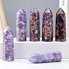 Natural Amethyst Hexagon Display Decorations PW-WG70320-01-1