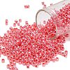 TOHO 8/0 Round Beads SEED-XTR08-0906-1