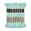 10 Skeins 6-Ply Polyester Embroidery Floss OCOR-K006-A26-1