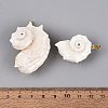Iron & Natural Spiral Shell Pendants SHEL-Q029-15KCG-3