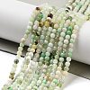 Natural Serpentine Beads Strands G-G161-D24-01-2