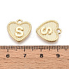 Alloy Pendants PALLOY-N157-001S-NR-3