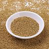 MIYUKI Round Rocailles Beads SEED-G007-RR4203-2