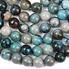 Natural Chrysocolla Beads Strands G-K405-B01-8mm-5