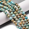 Dyed Natural Regalite/Imperial Jasper/Sea Sediment Jasper Beads Strands G-B124-C02-03-2