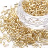 Plated Glass Bugle Beads SEED-S046-01A-22-1