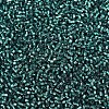 MIYUKI Delica Beads SEED-J020-DB0607-3