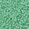 TOHO 6/0 Round Beads SEED-TR06-0144-3