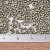 MIYUKI Delica Beads SEED-X0054-DB1851F-4