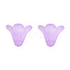 Frosted Acrylic Beads PL692-5-2