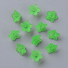 Transparent Acrylic Beads PL554-13-4