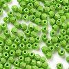 Baking Paint Glass Seed Beads SEED-A032-02A-3
