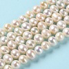 Natural Cultured Freshwater Pearl Beads Strands PEAR-E018-38-2