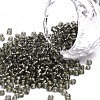 (Repacking Service Available) 8/0  Glass Seed Beads SEED-C014-3mm-52-1