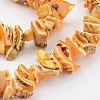 Natural Shell Bead Strands BSHE-P010-06-4