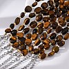 Natural Tiger Eye Beaded Bracelets for Women G-P563-07P-19-3