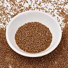 MIYUKI Delica Beads SEED-J020-DB1734-2