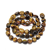 Natural Tiger Eye Beads Strands X-G-R445-8x10-05-2