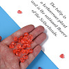 Transparent Acrylic Beads MACR-S373-95-B06-3