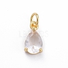 Brass Micro Pave Cubic Zirconia Pendants ZIRC-E164-64G-D-1