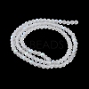 Transparent Glass Beads Strands EGLA-A044-T2mm-MB19-4