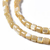 Natural Trochid Shell/Trochus Shell Beads Strands SSHEL-N034-77-B01-3
