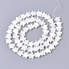 Natural Trochid Shell/Trochus Shell Bead Strands X-SSHEL-N034-68B-2
