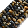 Natural Tiger Eye Beads Strands G-Z111-A02-03-3