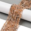 Natural Multi-Moonstone Beads Strands G-G189-B01-01-2