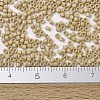 MIYUKI Delica Beads X-SEED-J020-DB2364-4