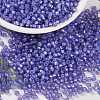 MIYUKI Round Rocailles Beads X-SEED-G008-RR0649-1