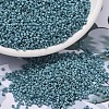MIYUKI Delica Beads X-SEED-J020-DB2315-1