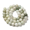 Natural Jade Beads Strands G-H298-A16-03-3