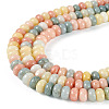 1 Strand Glass Beads Strands GLAA-TADJ0001-06H-2
