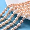 Natural Cultured Freshwater Pearl Beads Strands PEAR-R064-19-1