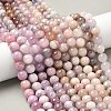 Natural Kunzite Beads Strands G-L478-11-10mm-01-5