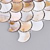 Natural Freshwater Shell Mosaic Tile Cabochons SHEL-Q029-03-2