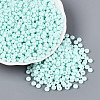 Opaque Glass Seed Beads SEED-N012-09A-06-1