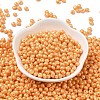 6/0 Glass Seed Beads X1-SEED-L011-08A-19-2