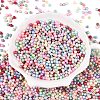 Glass Seed Beads SEED-T007-01R-1