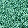 MIYUKI Delica Beads SEED-J020-DB2053-3