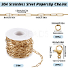 10M Ion Plating(IP) 304 Stainless Steel Paperclip Chains wih 50Pcs Open Jump Rings with 20Pcs  Lobster Claw Clasps FIND-SC0012-55-2
