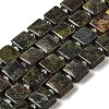 Natural Dragon Blood Jasper Beads Strands G-L596-A06-01-1